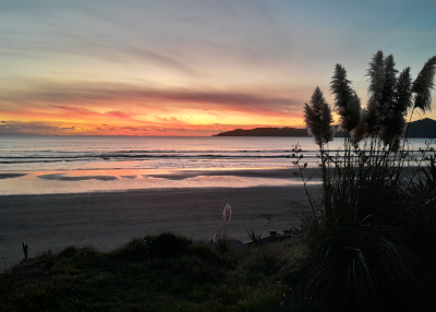 Kapiti Island